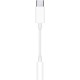 Apple Lightning to 3.5 mm Headphone Jack Adapter