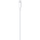 Apple USB-C to Lightning Cable (1 m)