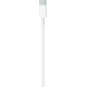 Apple USB-C to Lightning Cable (1 m)