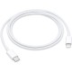 Apple USB-C to Lightning Cable (1 m)